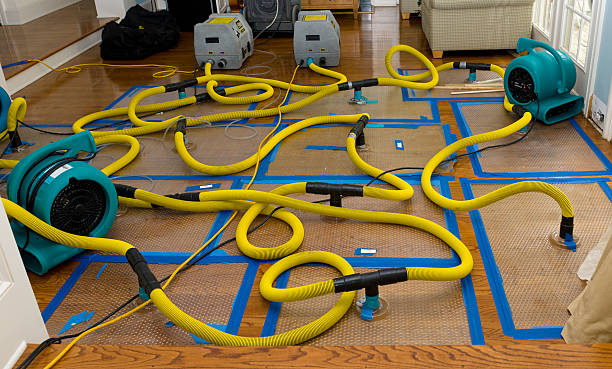 Professional Structural Drying And Dehumidification technician working in Gibbon, MN